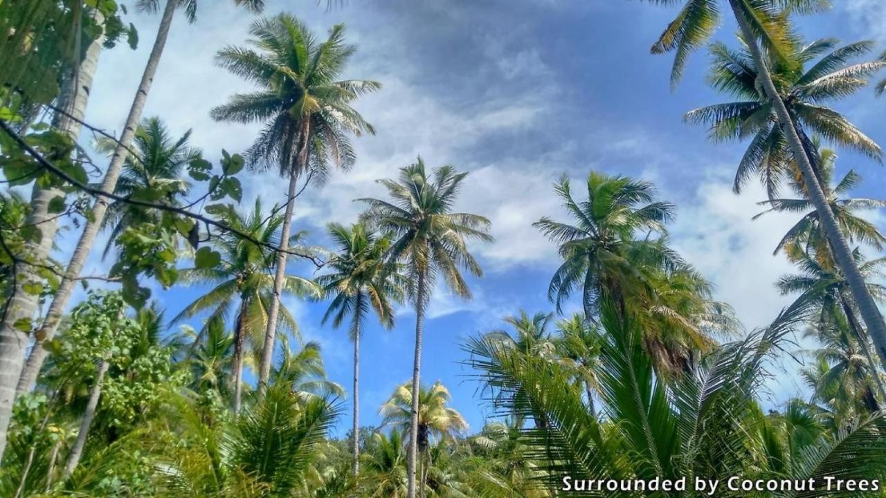 Mansuar Raja Ampat Bungalows Kri Eksteriør bilde